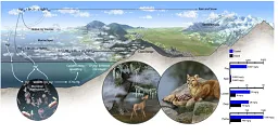 From: Weiss-Penzias, P. et al. Total- and monomethyl-mercury and major ions in coastal California fog water: Results from two years of sampling on land and at sea. Elem. Sci. Anthr. 4, 000101 (2016).  Included in Weiss-Penzias 2019. Caption: Conceptual diagram showing the hypothesized sources and mechanisms of transfer of organic Hg species from the ocean to the coastal terrestrial food web in central California, USA. Bar charts indicate the mean concentrations of MMHg observed in this work plus fog and rainwater concentration.